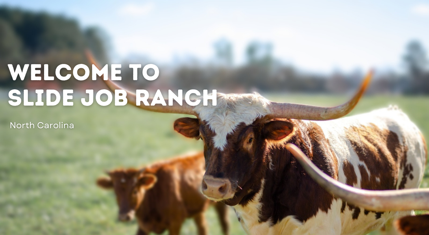 Slide Job Ranch Home Page